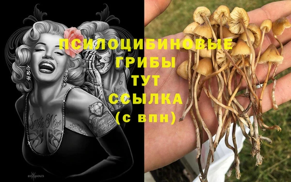 прущий лед Абаза