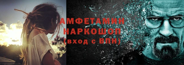 индика Алзамай