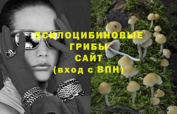 индика Алзамай