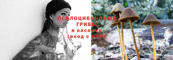индика Алзамай