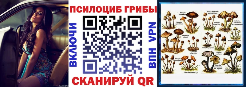 Псилоцибиновые грибы Psilocybe  Тетюши 